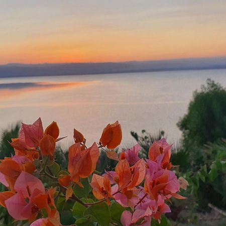 Comfy Stays Sea View Apartments At Deadsea Samarah Resort Sweimeh 外观 照片
