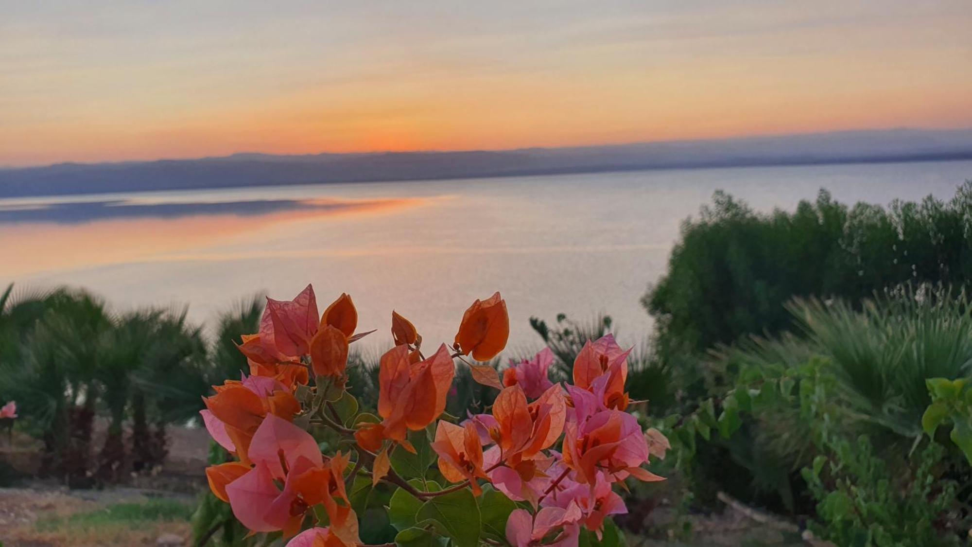 Comfy Stays Sea View Apartments At Deadsea Samarah Resort Sweimeh 外观 照片