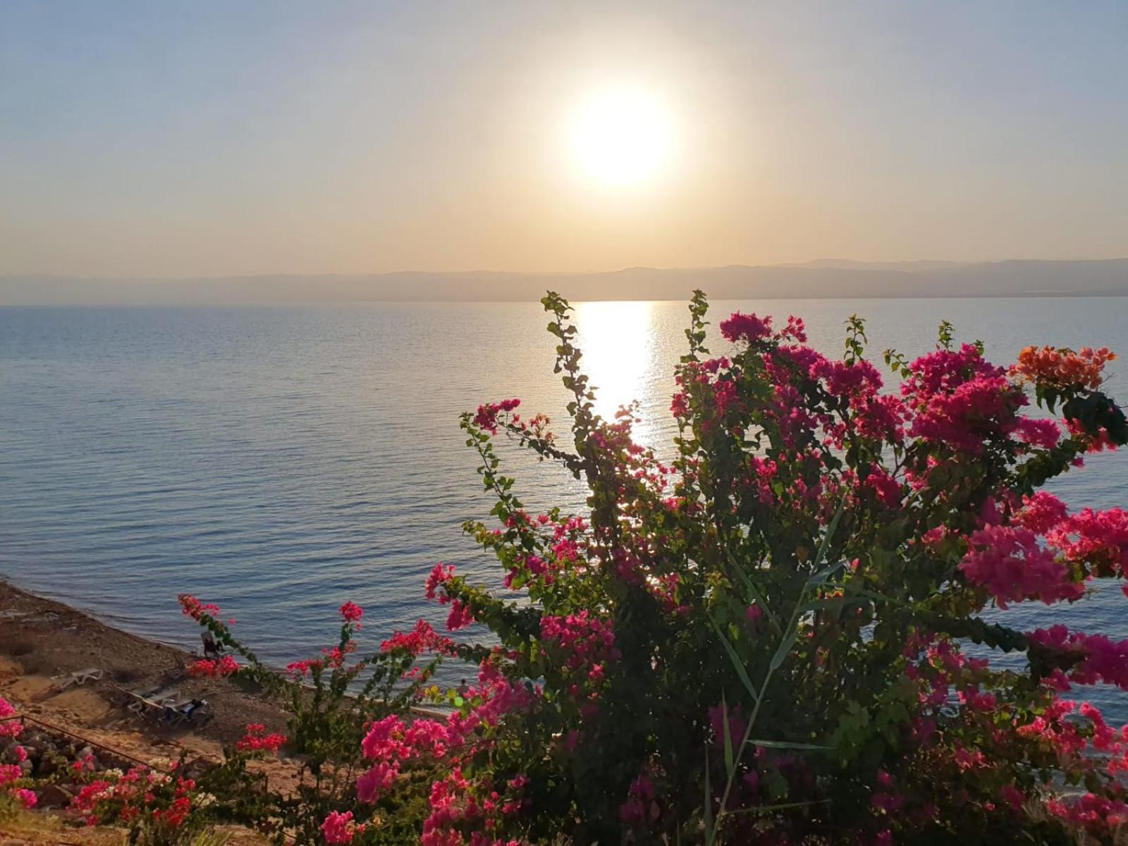 Comfy Stays Sea View Apartments At Deadsea Samarah Resort Sweimeh 外观 照片